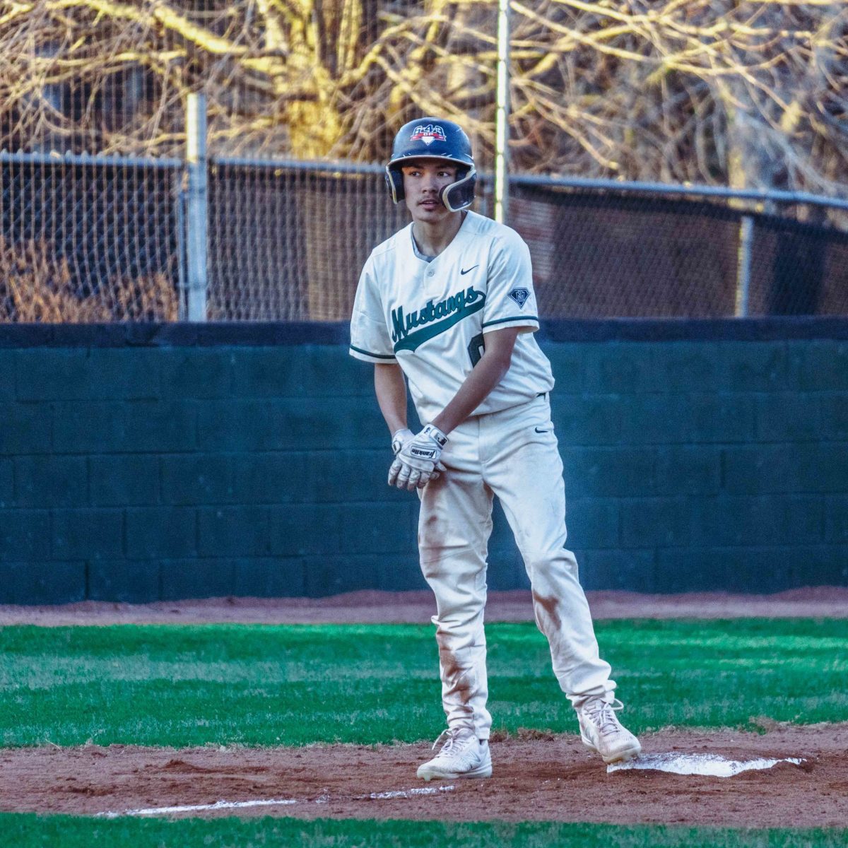 Willie_Prince_Kennesaw_Mountain_baseball.72